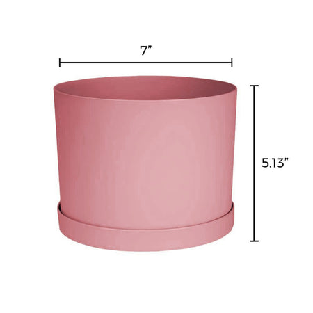 Planter, 6in, Mathers with Saucer, Rose
