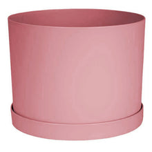 Load image into Gallery viewer, Planter, 8in, Mathers with Saucer, Rose
