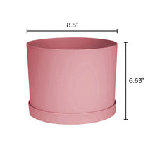 Load image into Gallery viewer, Planter, 8in, Mathers with Saucer, Rose
