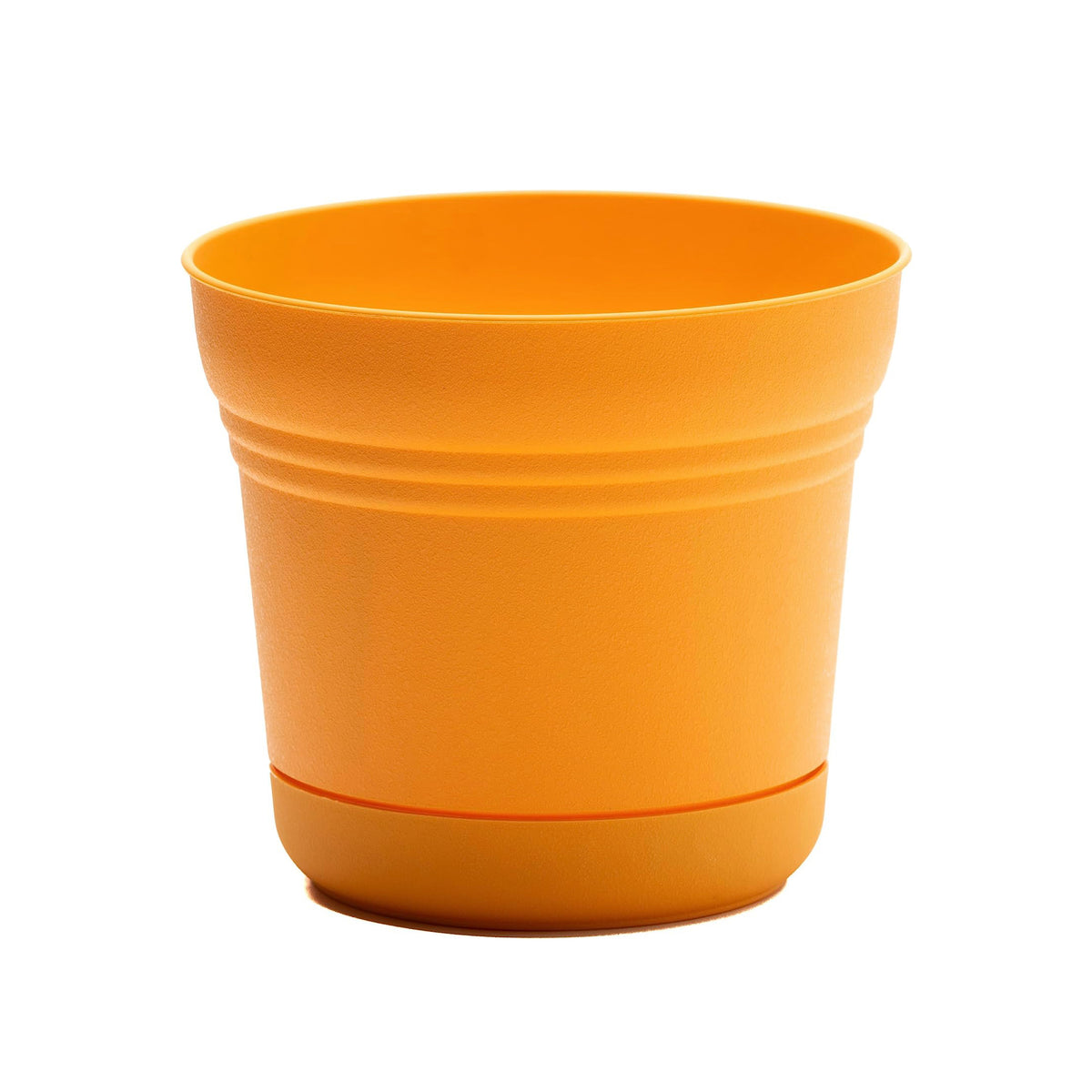 Pot, 5in, Saturn with Saucer, Mango