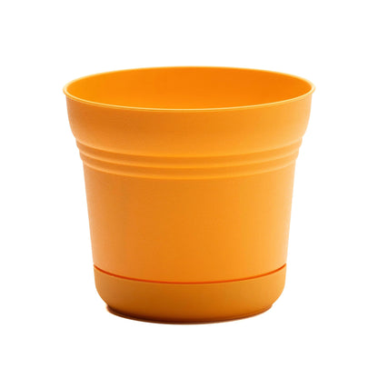 Pot, 5in, Saturn with Saucer, Mango