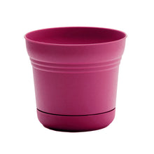 Load image into Gallery viewer, Pot, 5in, Saturn with Saucer, Fuchsia
