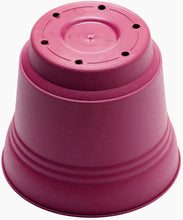 Load image into Gallery viewer, Pot, 12in, Saturn with Saucer, Fuchsia
