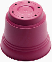 Load image into Gallery viewer, Pot, 5in, Saturn with Saucer, Fuchsia

