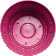 Load image into Gallery viewer, Pot, 5in, Saturn with Saucer, Fuchsia
