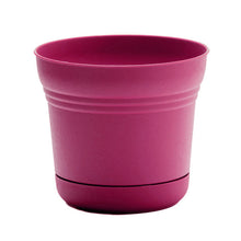 Load image into Gallery viewer, Pot, 7in, Saturn with Saucer, Fuchsia
