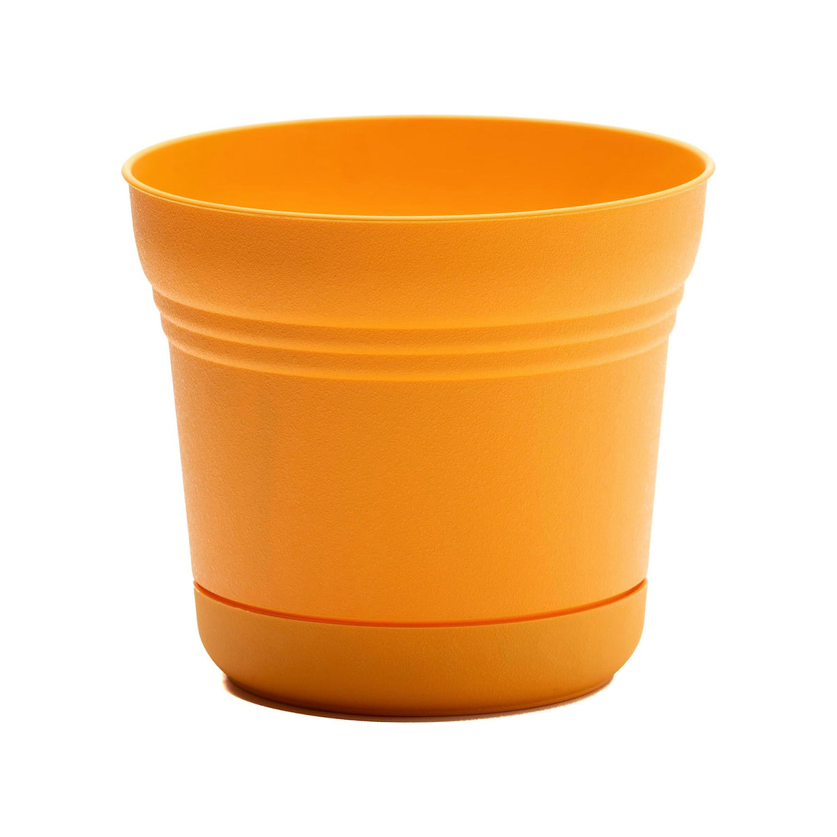 Pot, 7in, Saturn with Saucer, Mango