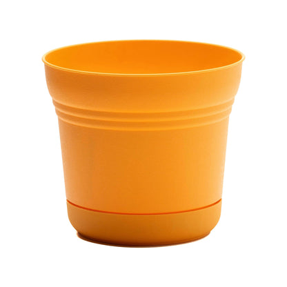 Pot, 7in, Saturn with Saucer, Mango
