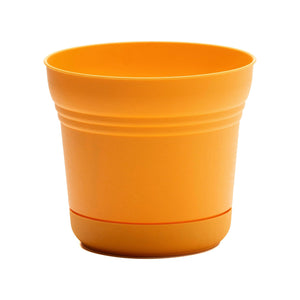 Pot, 7in, Saturn with Saucer, Mango