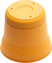 Load image into Gallery viewer, Pot, 7in, Saturn with Saucer, Mango
