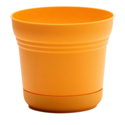 Pot, 12in, Saturn with Saucer, Mango