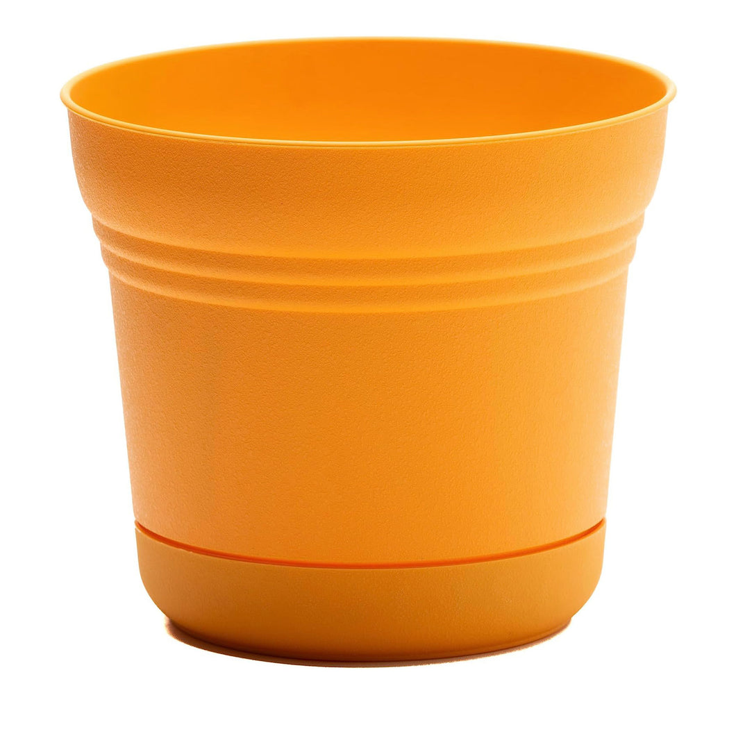 Pot, 12in, Saturn with Saucer, Mango