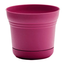 Load image into Gallery viewer, Pot, 10in, Saturn with Saucer, Fuchsia
