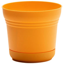 Load image into Gallery viewer, Pot, 10in, Saturn with Saucer, Mango
