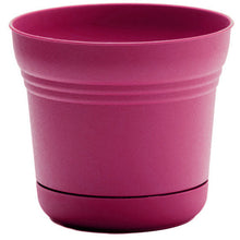 Load image into Gallery viewer, Pot, 12in, Saturn with Saucer, Fuchsia

