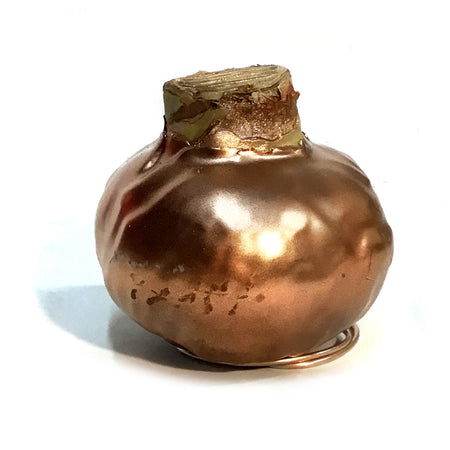 Amaryllis Jumbo XXL, Waxed, Red