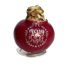 Load image into Gallery viewer, Amaryllis Holiday Wishes, Waxed, Red
