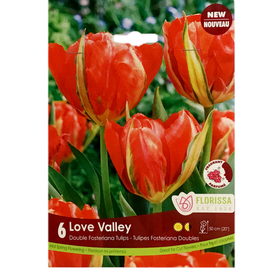 Tulip, Fosteriana - Love Valley, 6 Pack