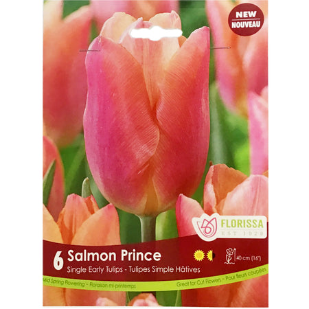 Tulip, Salmon Prince Bulbs, 6 Pack