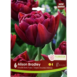 Tulip, Alison Bradley Bulbs, 6 Pack