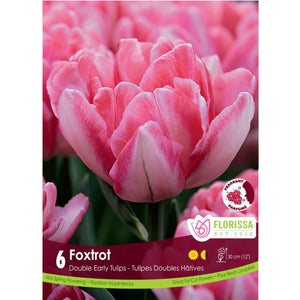 Tulip, Foxtrot Bulbs, 6 Pack