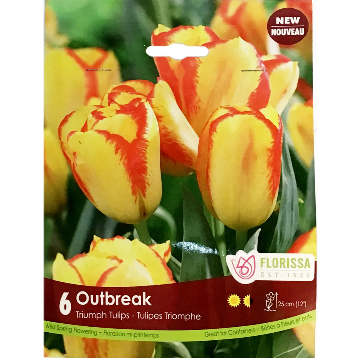 Tulip, Outbreak Bulbs, 6 Pack