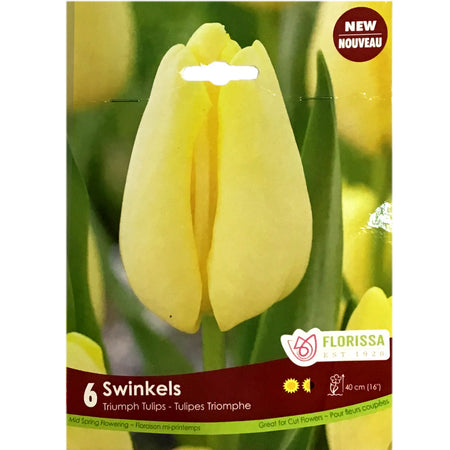 Tulip, Swinkles Bulbs, 6 Pack