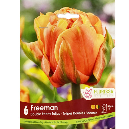 Tulip, Freeman Bulbs, 6 Pack