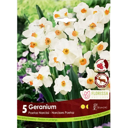 Narcissi, Geranium Bulbs, 5 Pack