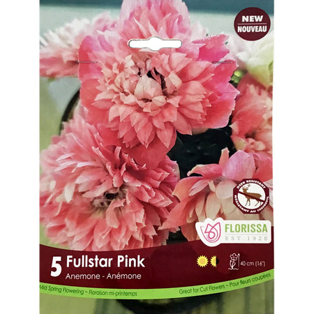 Anemone -Fullstar Pink Bulbs, 5 Pack