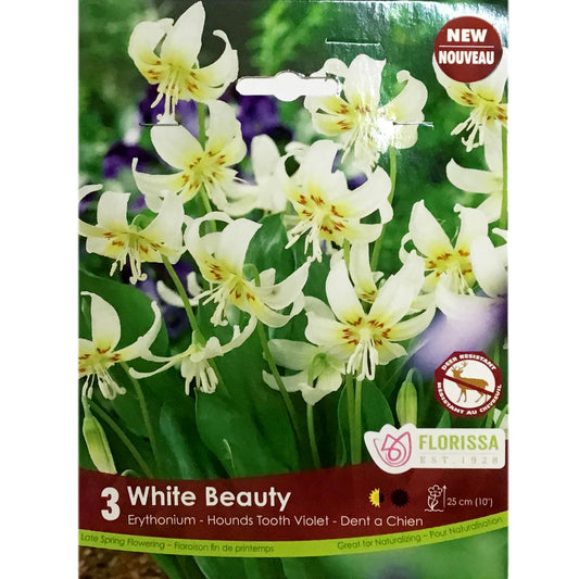 Erythronium - White Beauty Tops , 3 Pack