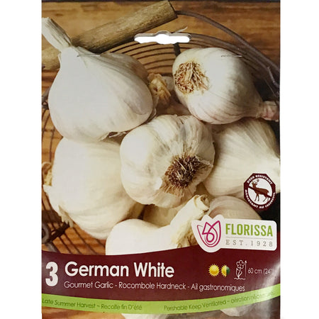 Garlic - German White Bulbs, 3 Pack