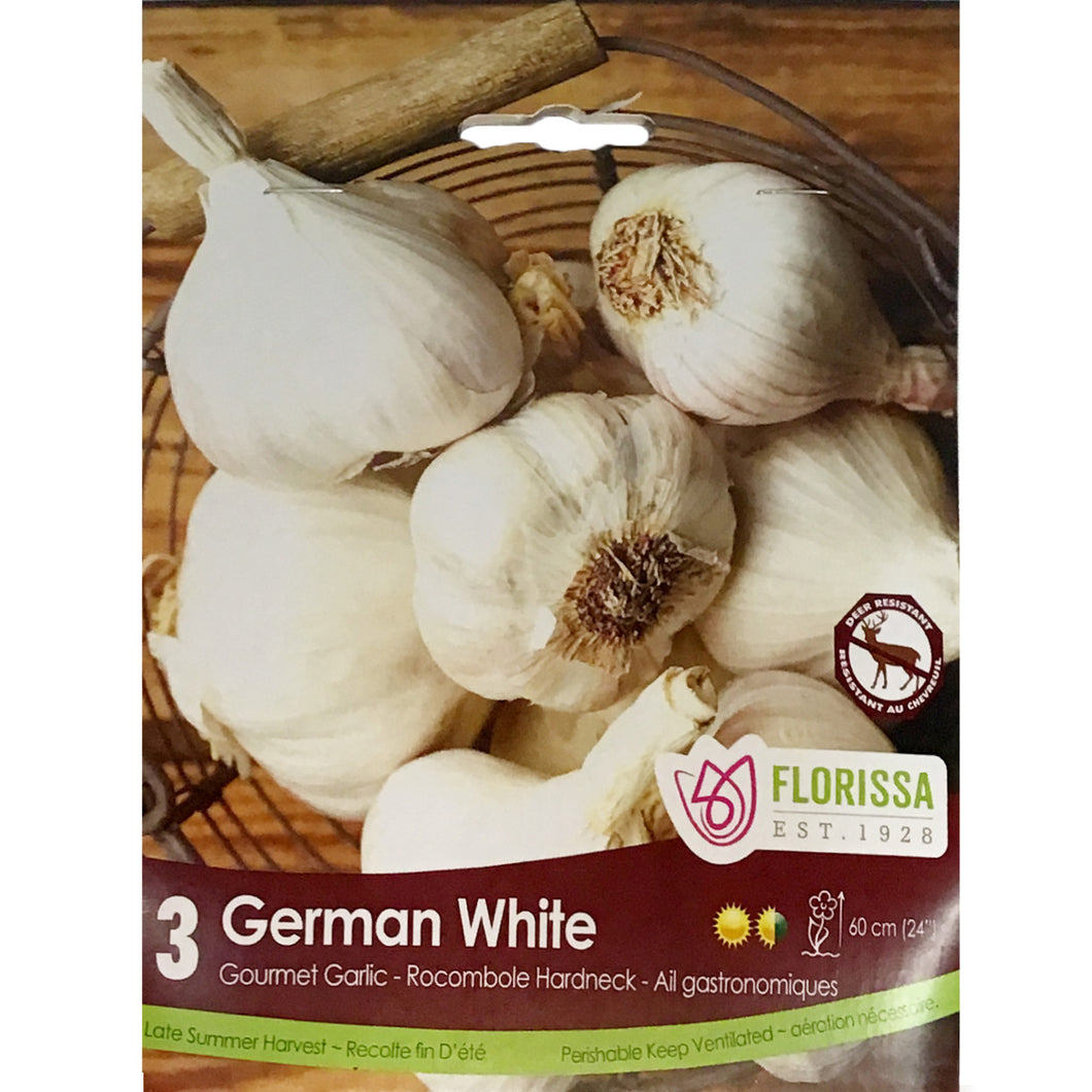 Garlic - German White Bulbs, 3 Pack