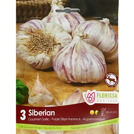 Garlic - Siberian Bulbs, 3 Pack