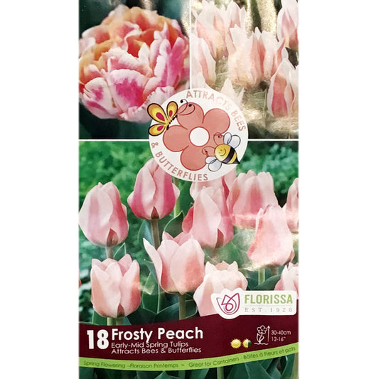 Bag Pollinator/Frosty Peach Tulips