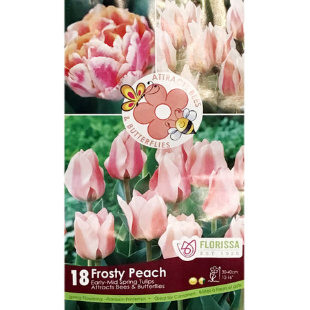Bag Pollinator/Frosty Peach Tulips
