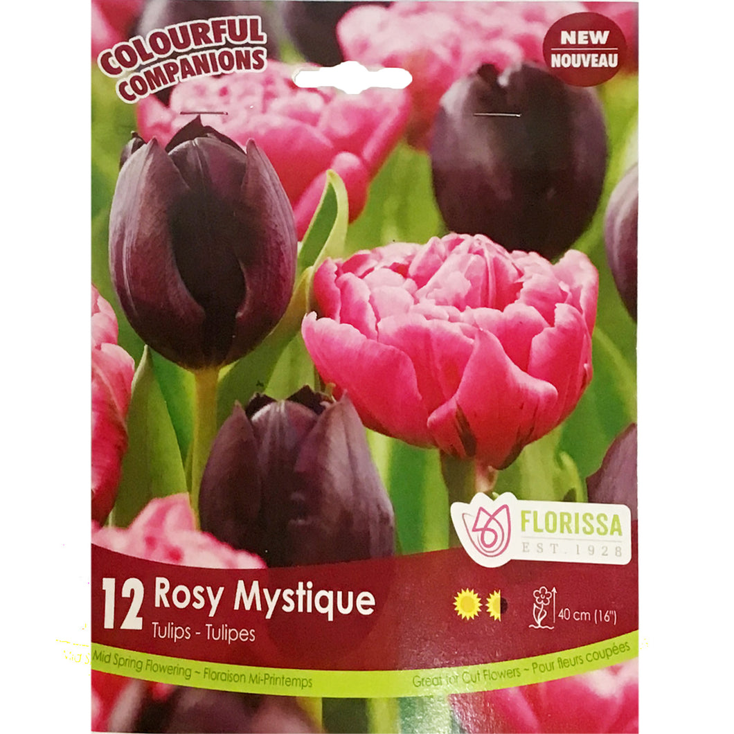 Colourful Companions - Rosy Mystiqu Bulbs, 12 Pack