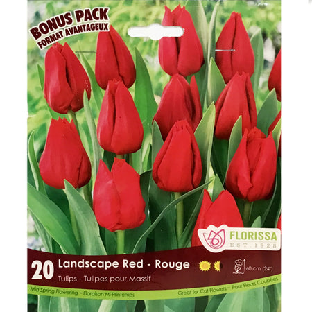 Tulip-Landscape Red Bulbs, 20 Pack