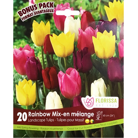 Tulip-Landscape Rainbow Bulbs, 20 Pack