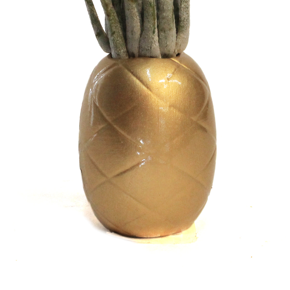 Pineapple Planter, Air Plant