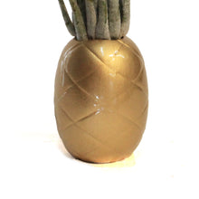 Load image into Gallery viewer, Pineapple Planter, Air Plant
