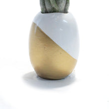 Load image into Gallery viewer, Pineapple Planter, Air Plant
