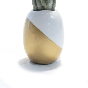 Pineapple Planter, Air Plant