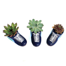 Load image into Gallery viewer, Rainbow Skates Planter, Succulent
