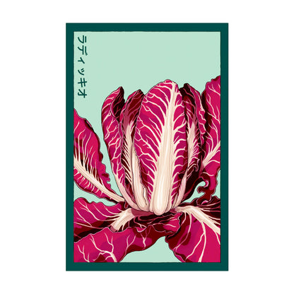 Radicchio - Seeds,
