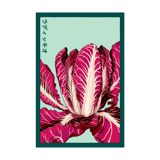Radicchio - Seeds,