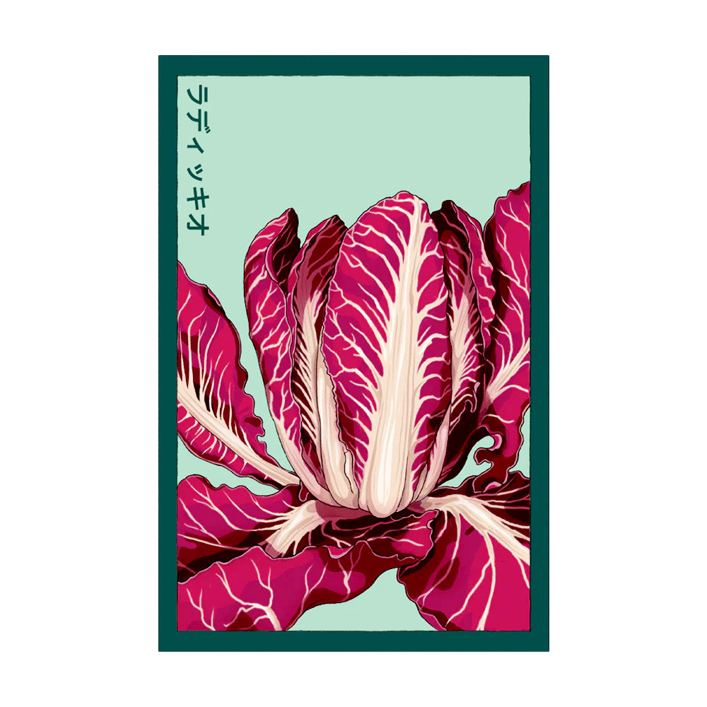Radicchio - Seeds,