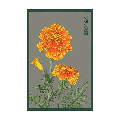 French Marigold -  Seeds,
