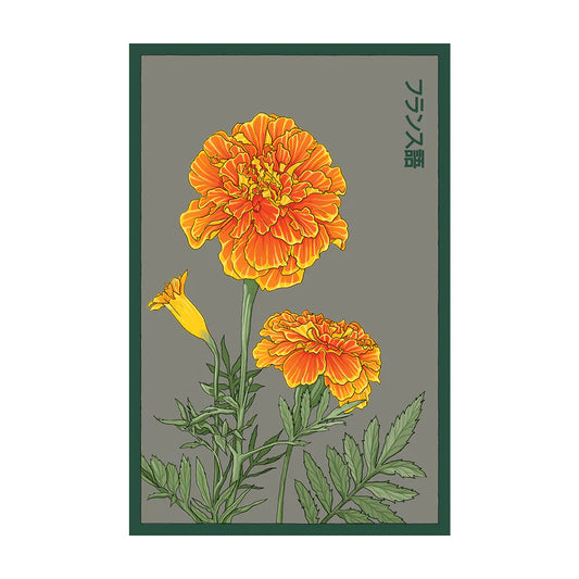 French Marigold -  Seeds,