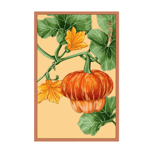 Pumpkin Sqush- Seeds,